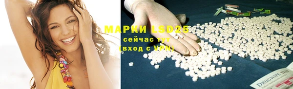стафф Карпинск