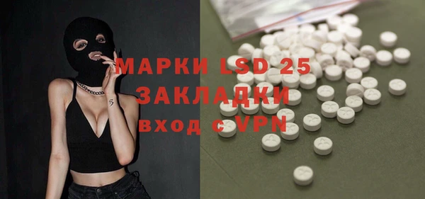 PSILOCYBIN Карталы
