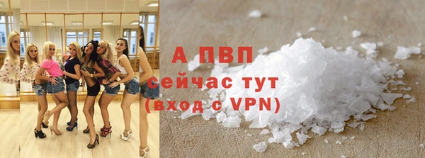 стафф Карпинск