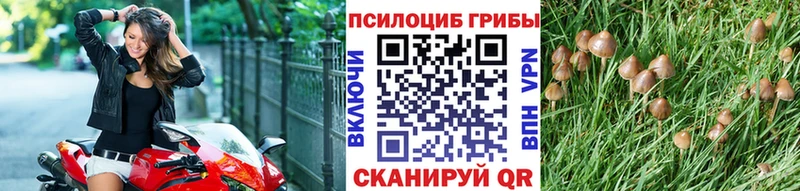 Купить закладки  Мирный  Галлюциногенные грибы GOLDEN TEACHER 